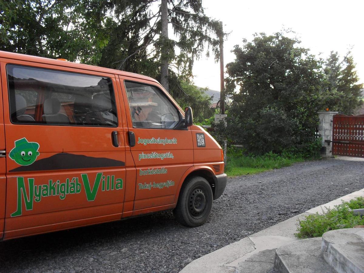 Nyakiglab Villa Szegi Ngoại thất bức ảnh